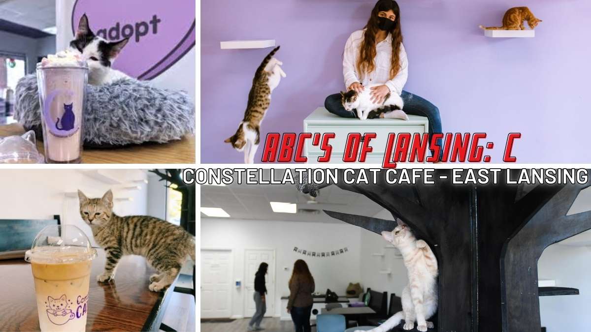 abcs of lansing C - constellation cat cafe