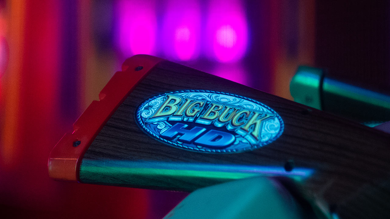 First person shooter video games like Big Buck, Terminator, Walking Dead and more