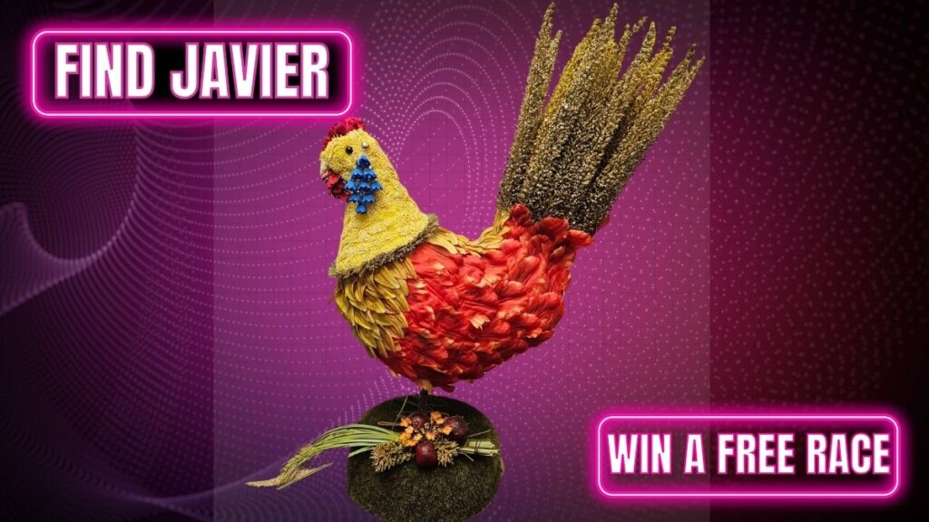 find javier go kart race