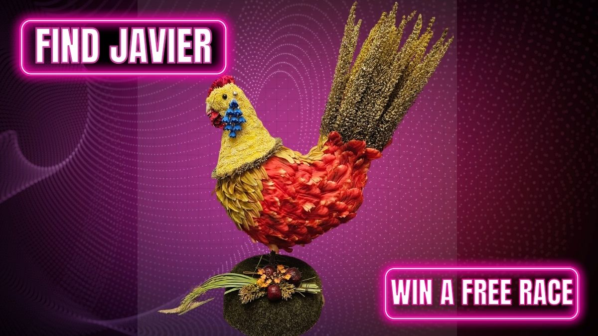 find javier go kart race