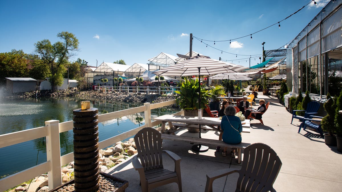 Child Free Date at Horrocks Market